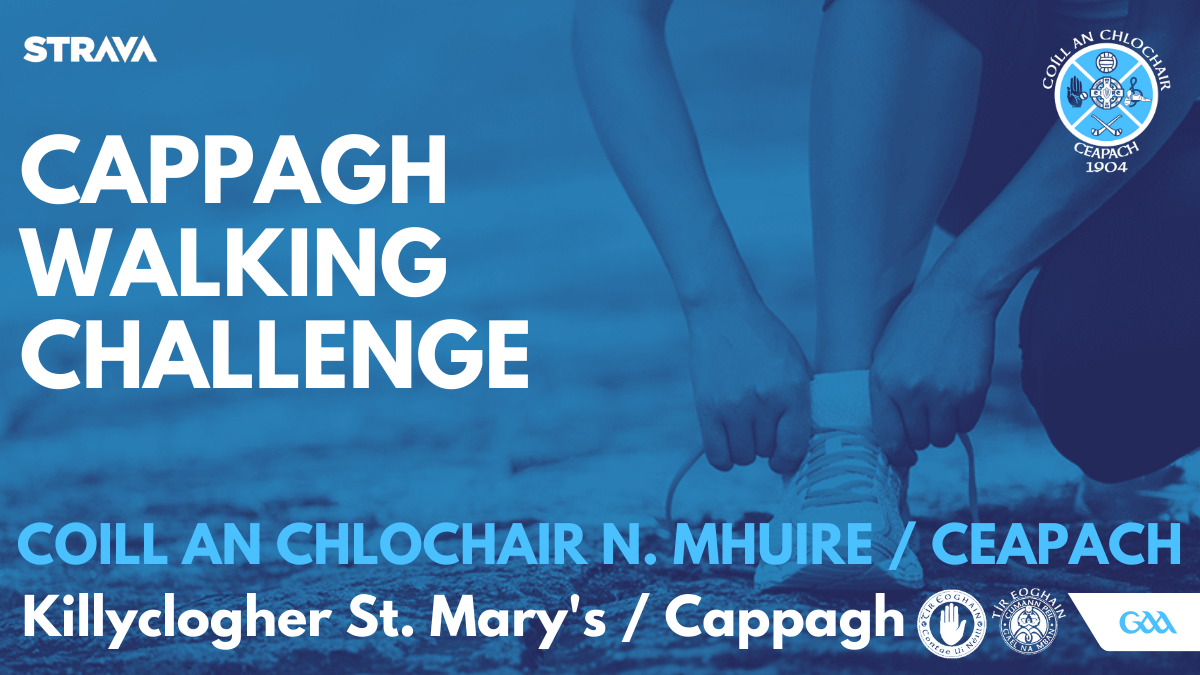 Cappagh Walking Challenge